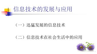 信息技术的发展与应用 聚焦信息技术开发