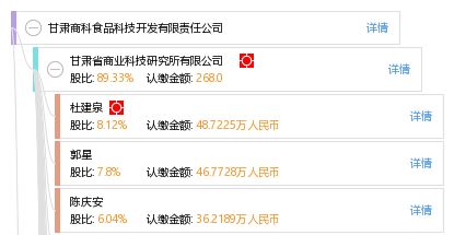 甘肃省商科食品科技开发有限责任公司信息技术开发战略与实践